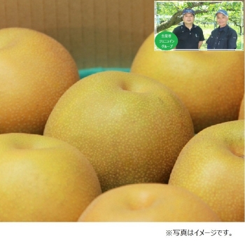 【梨ギフト】千葉県船橋・白井地区産　豊水梨３ｋｇ　７個入　ＪＨ３－７