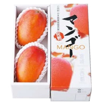 お中元】宮崎県産マンゴー（700g）: ギフト・フード