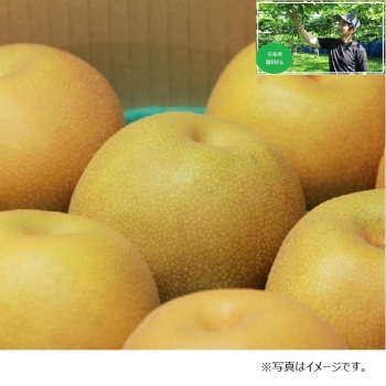 【梨ギフト】千葉県鎌ヶ谷地区産　皆川さんの豊水梨３ｋｇ　８個入　ＭＨ３－８