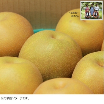 【梨ギフト】茨城県千代田地区産　鈴木さん豊水梨３ｋｇ　９個入　ＣＨ３－９