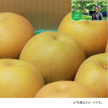 【梨ギフト】千葉県鎌ヶ谷地区産　皆川さんの豊水梨３ｋｇ　６個　ＭＨ３－６