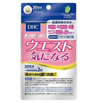 新品美品！DHCプレティコで自宅エステを楽しんで 楽天市場】【店内P最大78倍以上開催】【DHC直販】内側から弾力