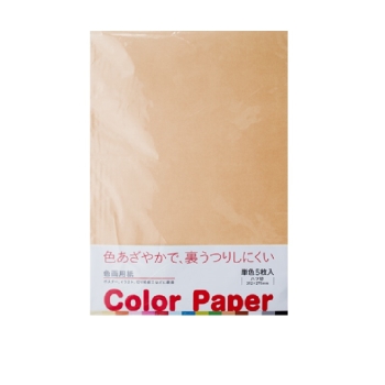 色画用紙 5枚入り うすちゃ