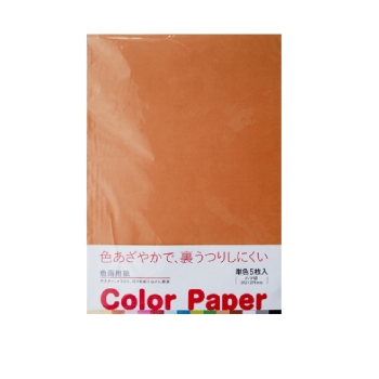 色画用紙 5枚入り ちゃいろ