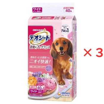 ■　【在庫限り】デオシート消臭フレグランスフローラルシャボンの香りワイドまとめ買いケース４０枚×３個