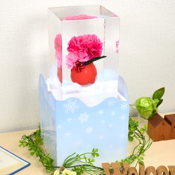 【母の日】小野田商店氷華　カーネーション　赤０１