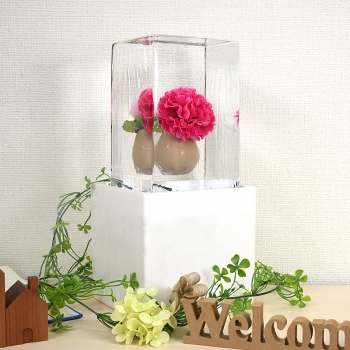 【母の日】小野田商店氷華　カーネーション　茶０２