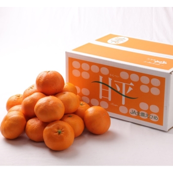 愛媛県産　甘平　約5kg