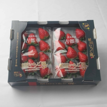 古都華　２５０ｇ×２