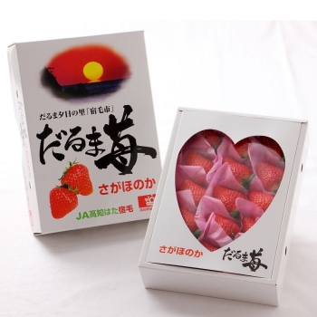 高知県産　だるま苺　５００ｇ