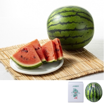 千葉県富里市産　すいか（５Ｌ）１個