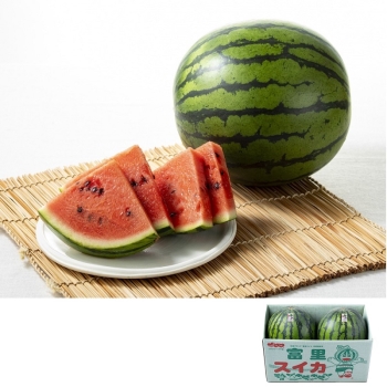 千葉県富里市産　すいか（Ｌ）２個