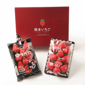 熊本ブランド　いちご食べ比べセット　２５０ｇ×２