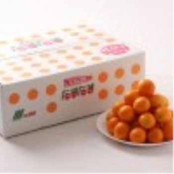 完熟金柑「たまたま」　３ｋｇ