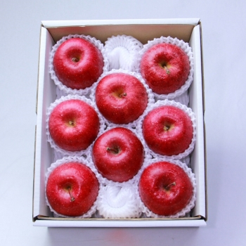 青森県・秋田県産　サンふじ　３ｋｇ