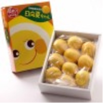 宮崎県産　日向夏　化粧箱　２．５ｋｇ