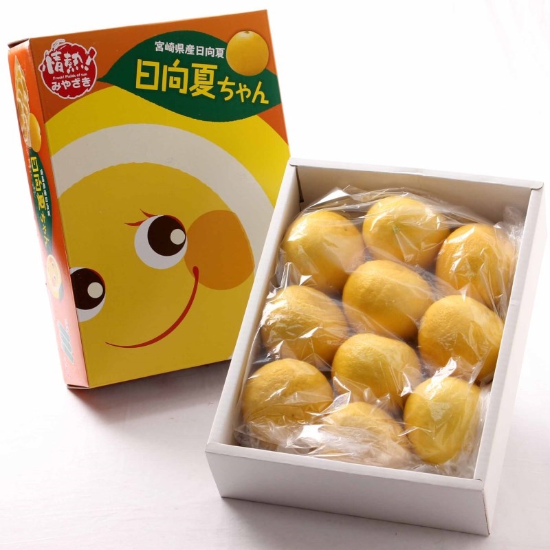 宮崎県産　日向夏　化粧箱　２．５ｋｇ