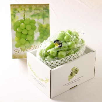 岡山県産　晴王　1房(800g)