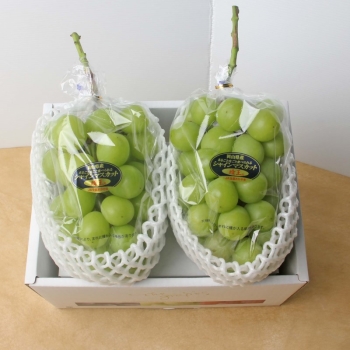 岡山県産　晴王　2房(550g×2)