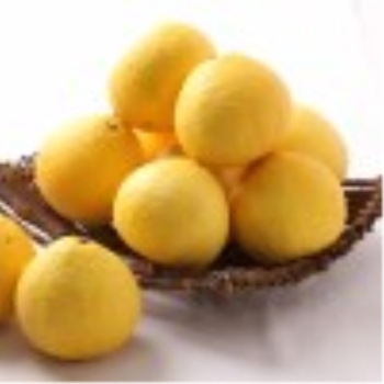 宮崎県産　日向夏　バラ　３ｋｇ