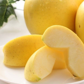 長野県産りんご三兄弟　シナノゴールド　2kg