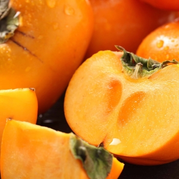 和歌山県産　たねなし柿　1.3ｋｇ