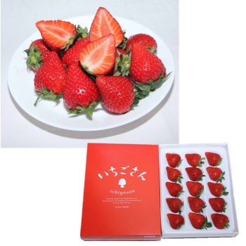 佐賀県産　いちごさん ４５０ｇ