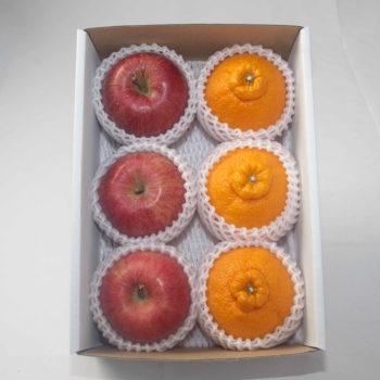 サンふじ＆デコポンセット