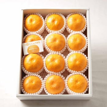 佐賀県産 にじゅうまる 3kg