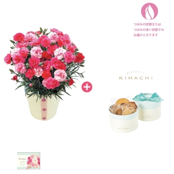 【母の日】カーネーション（さくらもなか）＆「パティスリー キハチ」アソートBOX