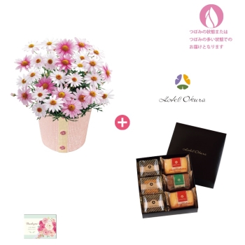 【母の日】マーガレット（さくらべーる）＆「ホテルオークラ」洋菓子詰合せ