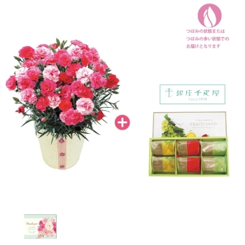 【母の日】カーネーション（さくらもなか）＆「銀座千疋屋」銀座フルーツサンド