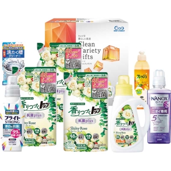 【お歳暮】クリーンバラエティギフト　ＳＤＤ－５０ＡＶ