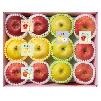 【お歳暮】りんご５種　食べ比べ　Ｙ１２－３Ｂ