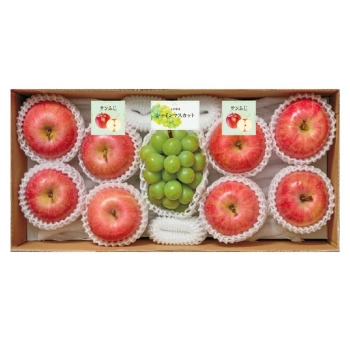 【お歳暮】山形県産　シャインマスカット（貯蔵品）＆サンふじ　Ｂ１４－８