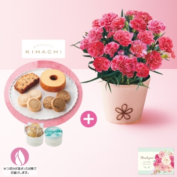 【母の日】カーネーション（ももりーな）と「パティスリーキハチ」アソートＢＯＸ