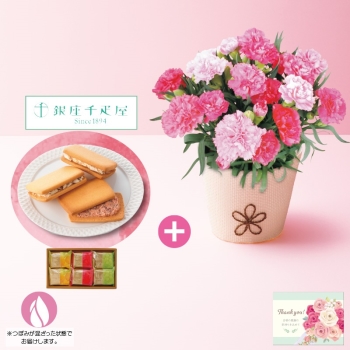 【母の日】カーネーション（ホットハート）と「銀座千疋屋」銀座フルーツサンド