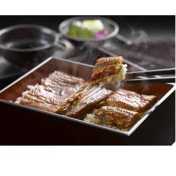 【じぶんぎふと】うなぎ割烹一愼　特製蒲焼