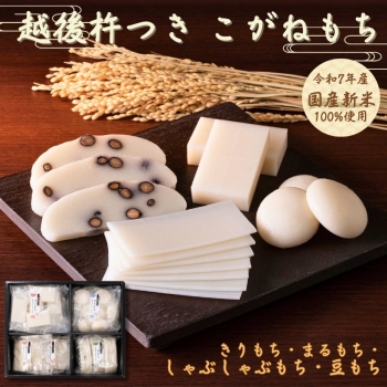 越後杵つき　こがねもち