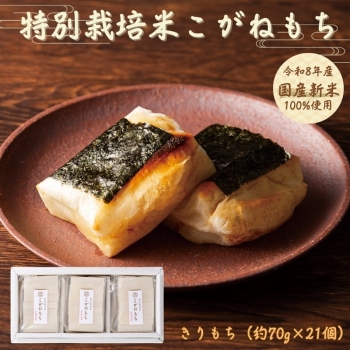 デニーズ　特別栽培米こがねもち