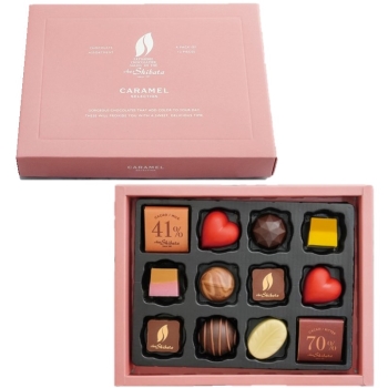 シェ・シバタ　ショコラアソート１２個