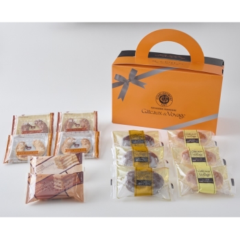 【福袋】ガトー・ド・ボワイヤージュ　お楽しみＢＯＸ（ＯＴＢ－Ｆ１０）　１２個入り