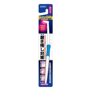 エビス ポイントブラシ ふつう