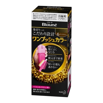 花王　ブローネ　ワンプッシュカラー　６　ダークブラウン