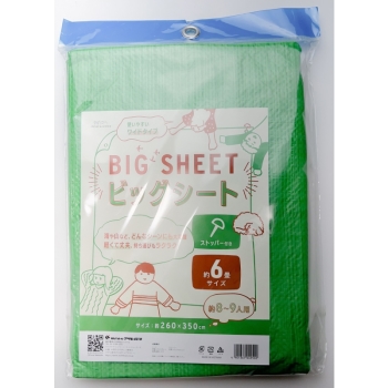 ビッグシート 6畳