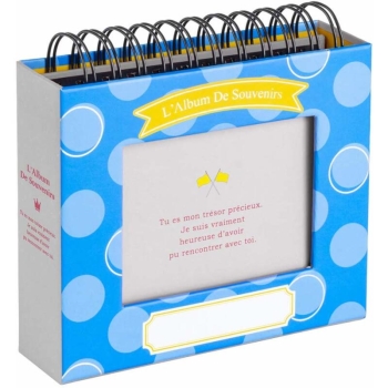 ナカバヤシ　フレームケースアルバム　Ｌ　ブルー　　Ｔ