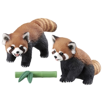 タカラトミー　アニア　ＡＳ－３５　レッサーパンダ