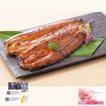 【母の日】宮崎県産　うなぎ長蒲焼　ＭＮ２／３００