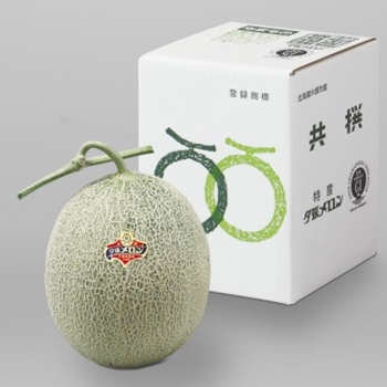 【お中元】北海道夕張市産夕張メロン良品　３Ｌ１玉
