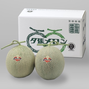 お中元】北海道夕張市産夕張メロン良品 M2玉: ギフト・フード